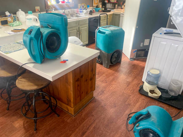 Best Water damage contractors near me  in Rock Hill, NY