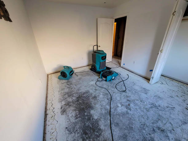  Rock Hill, NY Water damage restoration Pros