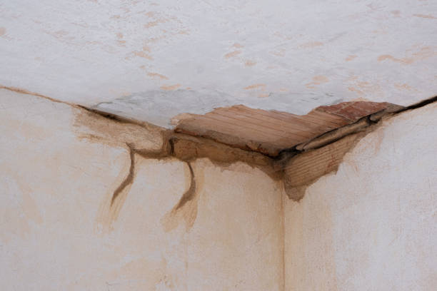 Best Local water damage restoration  in Rock Hill, NY