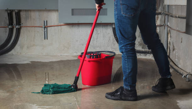 Best Flooded house restoration  in Rock Hill, NY