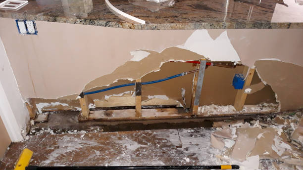 Best Flood damage cleanup  in Rock Hill, NY