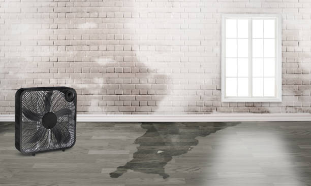 Best Water damage repair service  in Rock Hill, NY