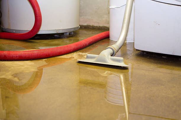 Best Carpet water damage restoration  in Rock Hill, NY