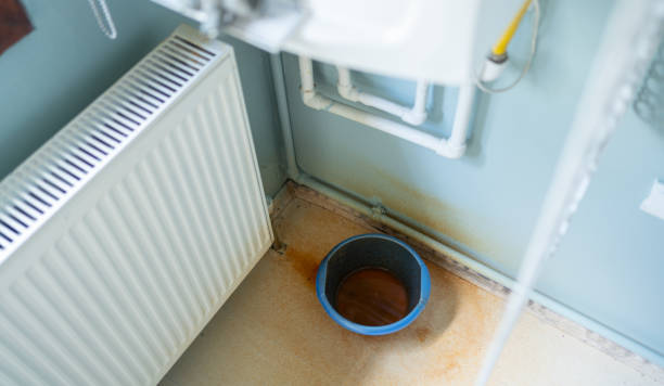 Best Mold removal after water damage  in Rock Hill, NY