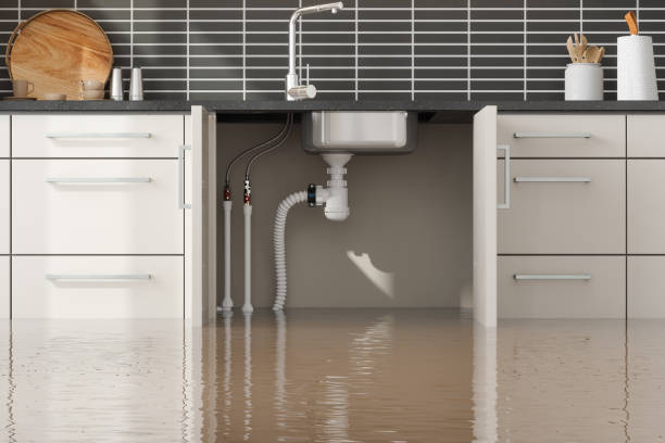 Best Fire Damage Restoration  in Rock Hill, NY