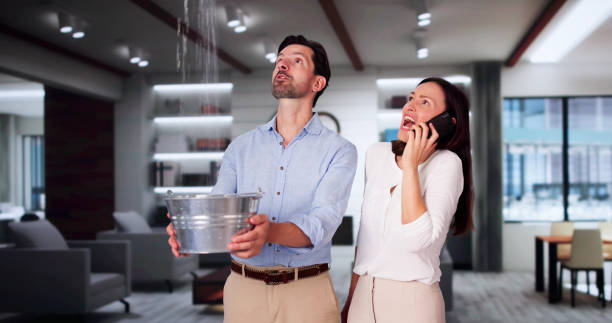 Best Mold removal after water damage  in Rock Hill, NY